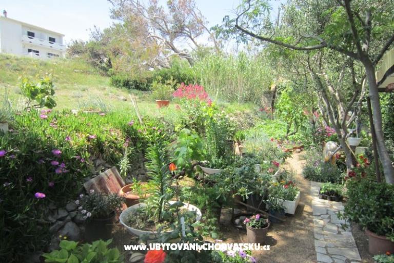 Appartements Mediteran Pag – foto 11