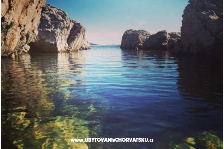 Villa Lilly (apartmani) – foto 8