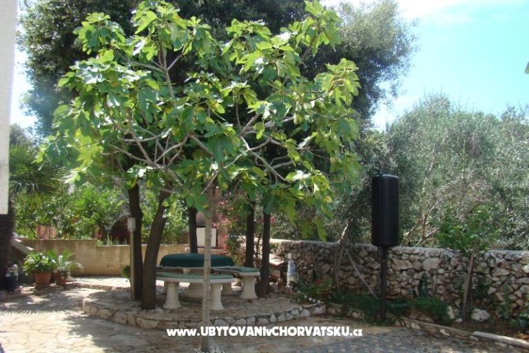 Ferienwohnungen Mandre – foto 2