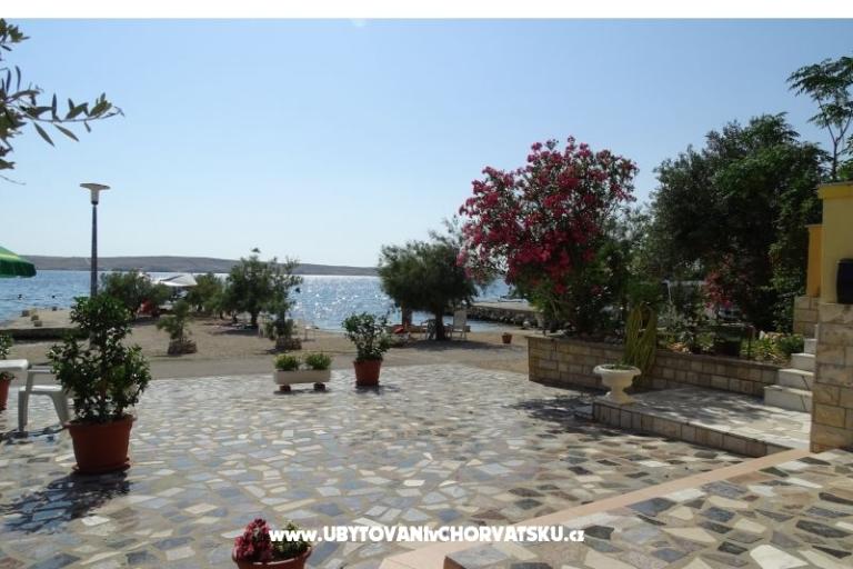 Ferienwohnungen VIVIEN (9x) – foto 5