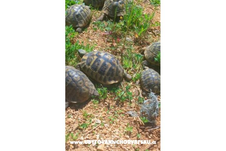 Family Ferienwohnungen K&amp;M – foto 7