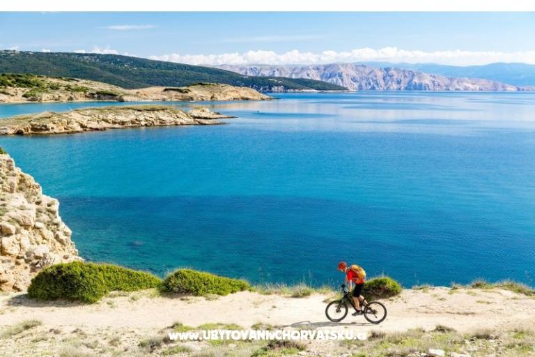 Premium Zec – foto 13