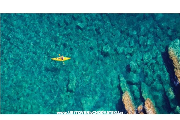 Premium Zec – foto 14