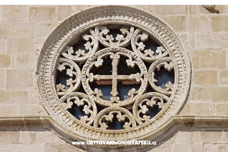 Premium Zec – foto 6