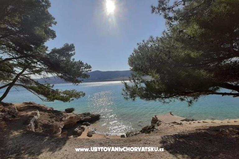 Zimmers Magdalena – foto 10