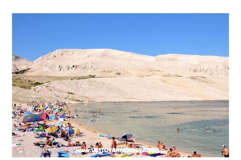 Zimmers Magdalena – foto 12