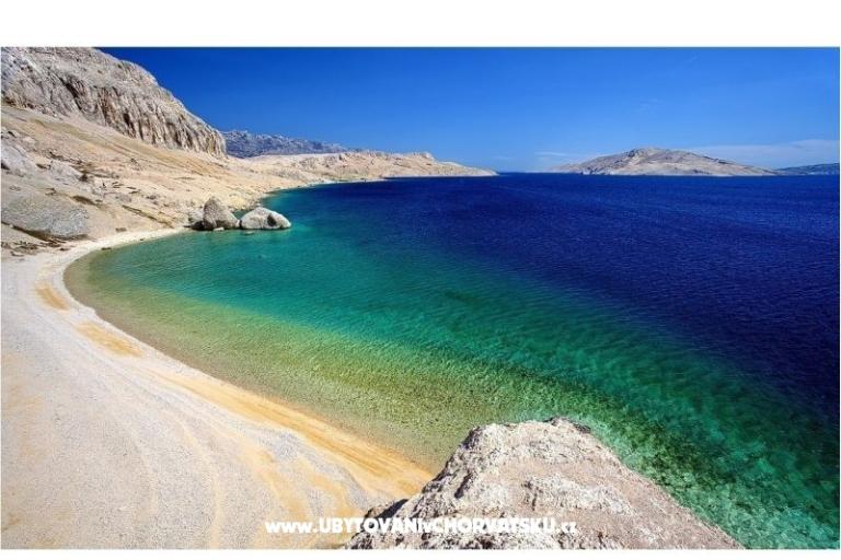 Zimmers Magdalena – foto 14