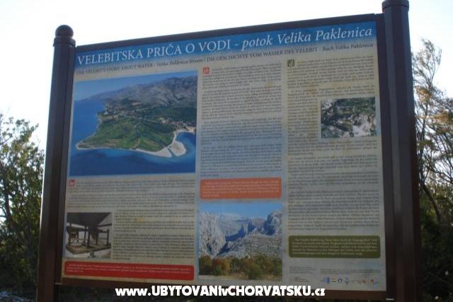 Apartment – foto 8