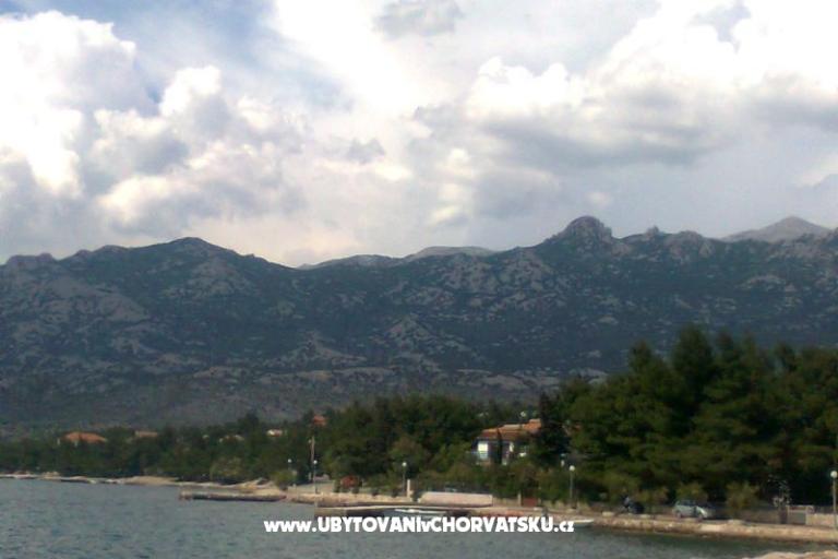 Zimmers Bartol – foto 12