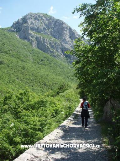 Villa Mirta – foto 13