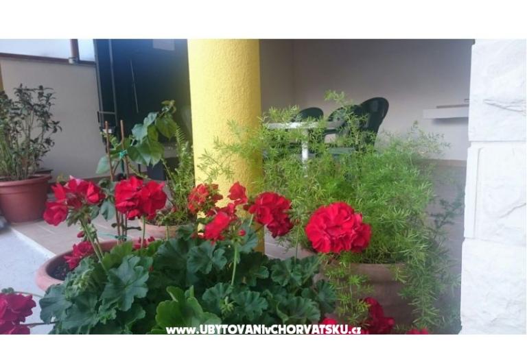 Appartements Lucija – foto 6
