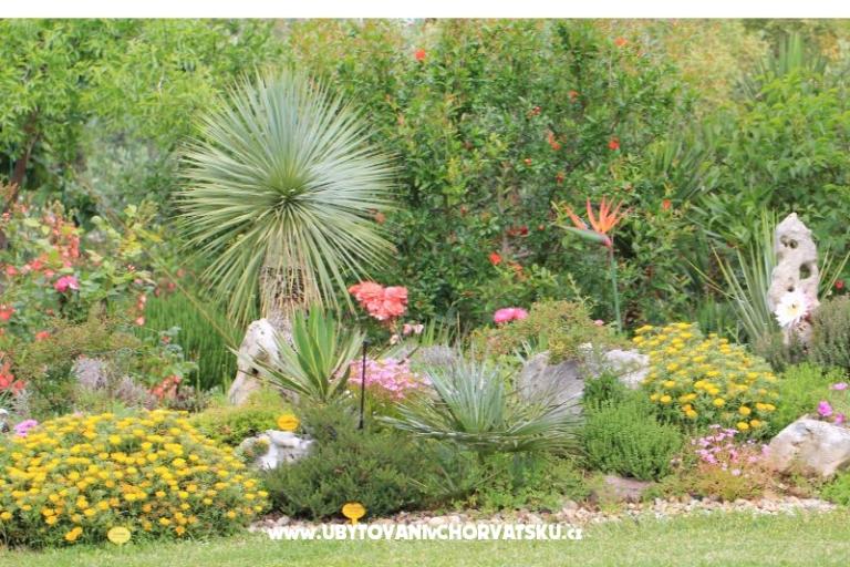 Appartements Mamić – foto 11