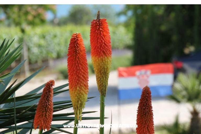 Appartements Mamić – foto 13