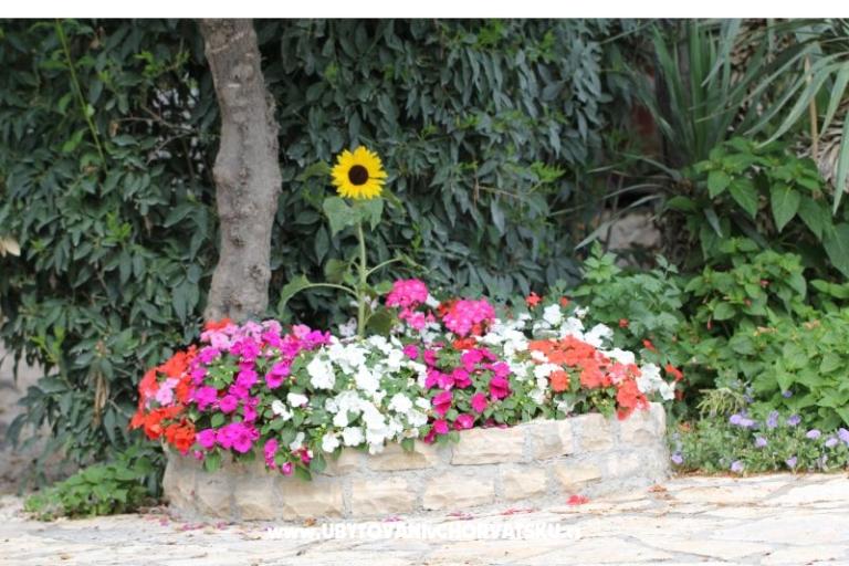 Appartements Mamić – foto 17