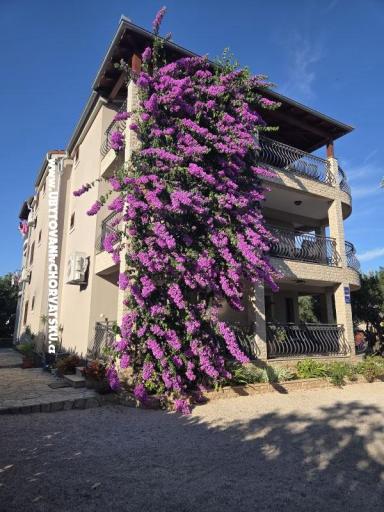 Appartements Silvija – foto 19