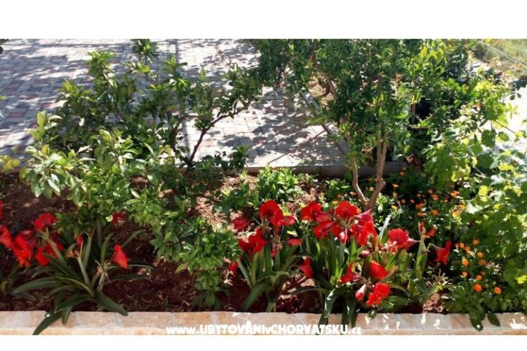 Ferienwohnungen Leo – foto 36