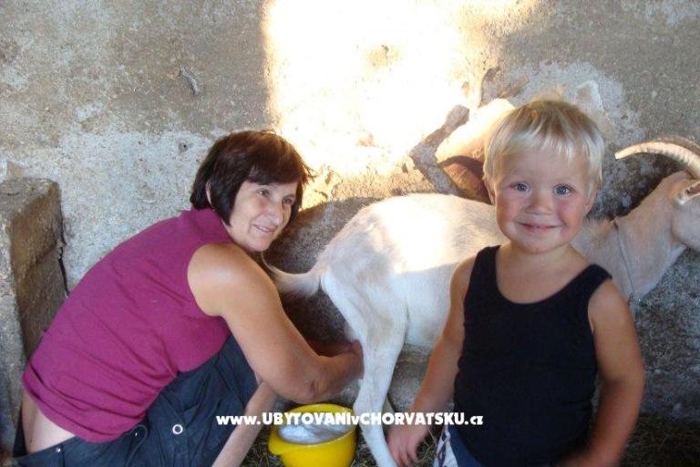 Ferienwohnungen Sokalo-Petar – foto 8