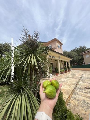Ferienwohnungen mit Pool Villa Julia 3  – foto 10