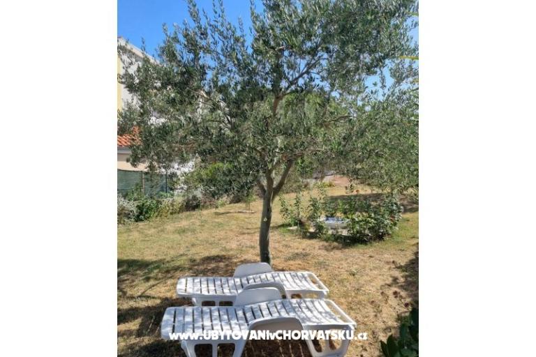 Appartements Lokva – foto 14