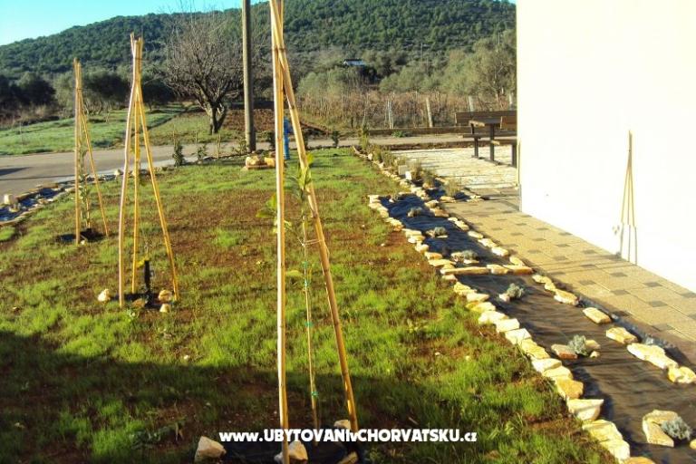 Appartements Pašman – foto 16