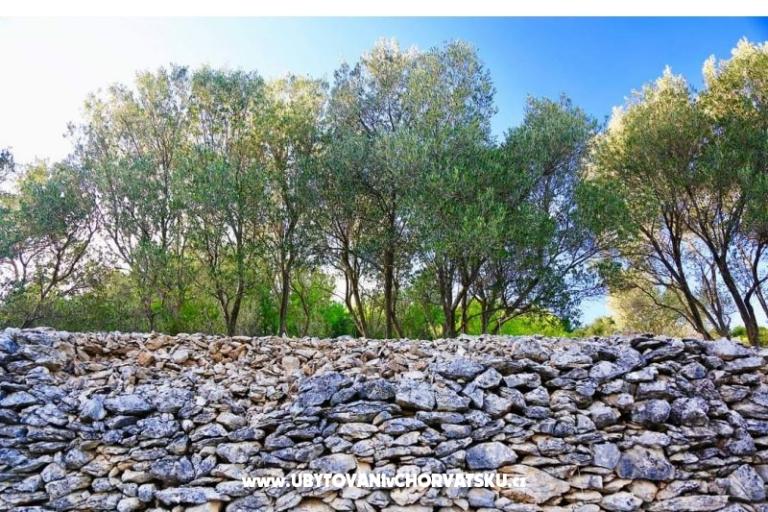 Ferienwohnungen Dragica Pedisic – foto 11