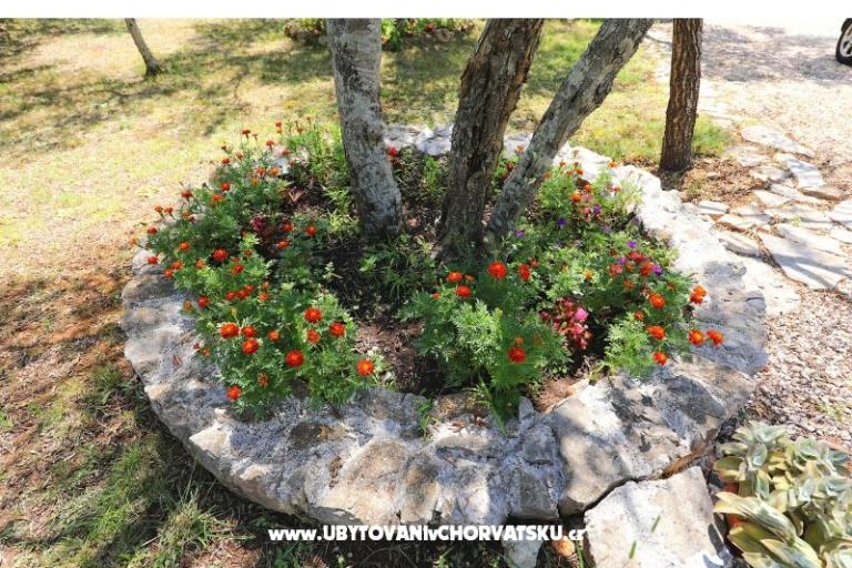 Ferienwohnungen Suzana – foto 18