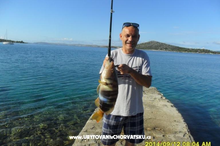 Robinzon Lanterna – foto 15