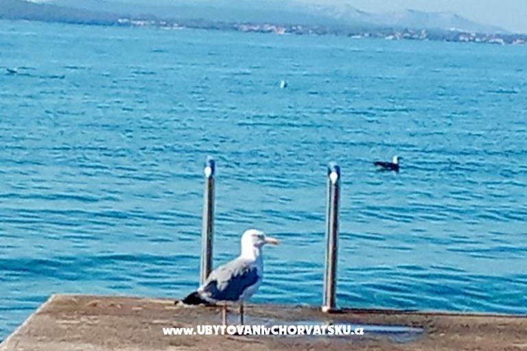 Ferienwohnungen Dani – foto 25