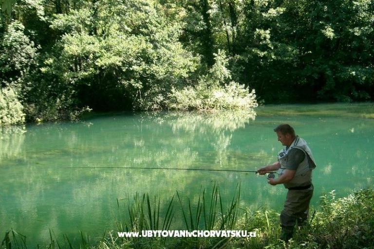 Ferienwohnungen Lucić – foto 15