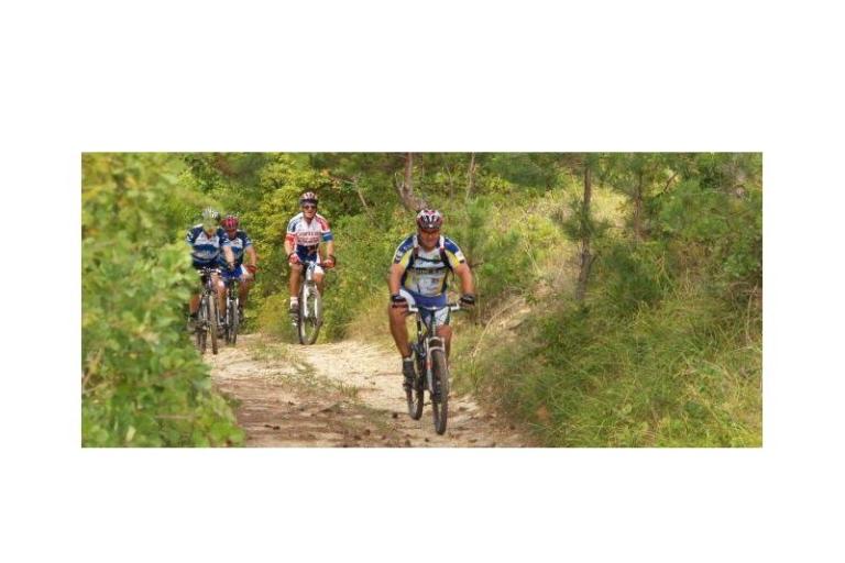 Ferienwohnungen Lucić – foto 16