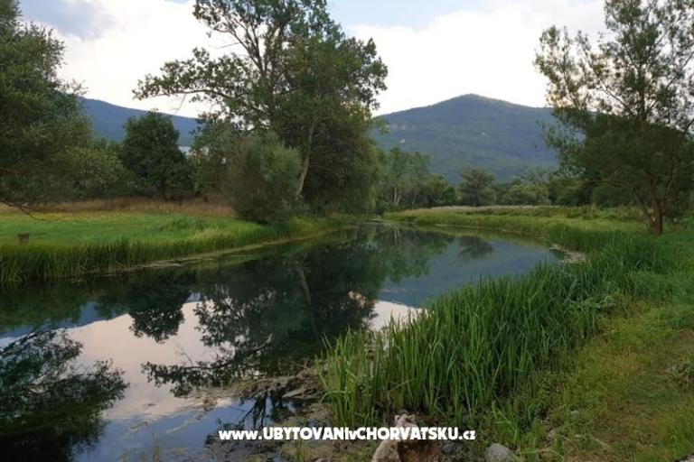 Ferienwohnungen Paradiso – foto 10