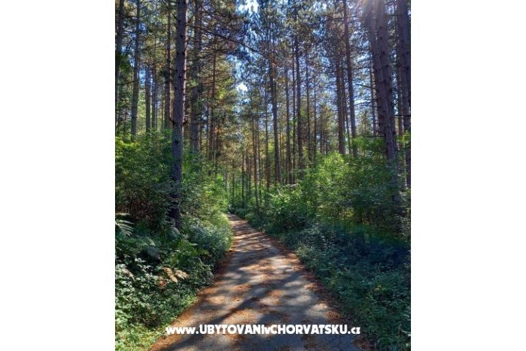 Ferienwohnungen Paradiso – foto 15