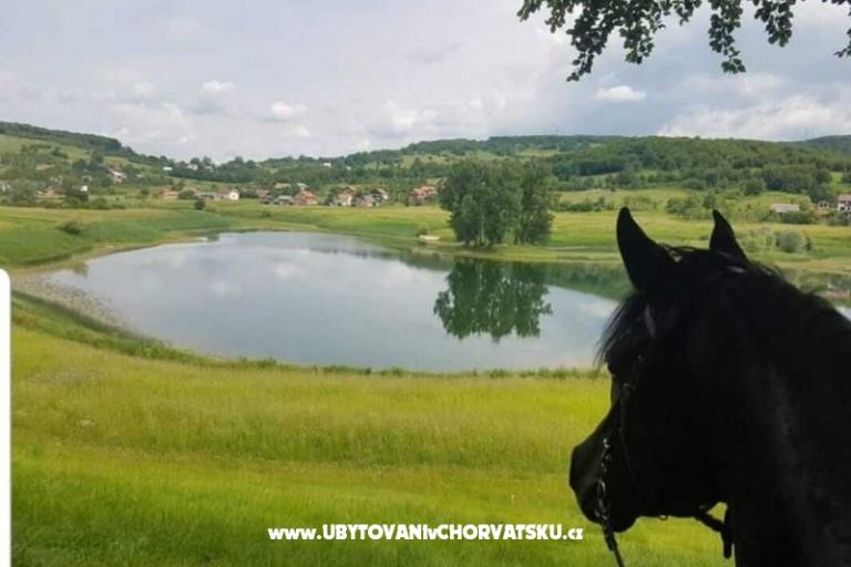 Ferienwohnungen Paradiso – foto 7