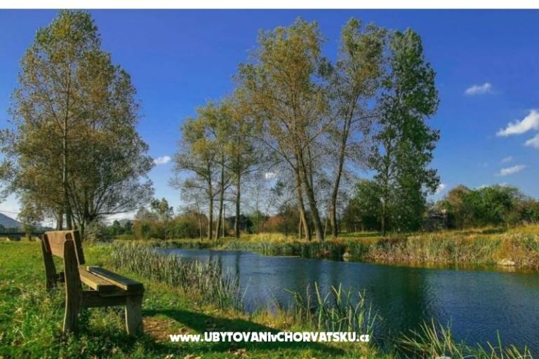 Ferienwohnungen Paradiso – foto 8