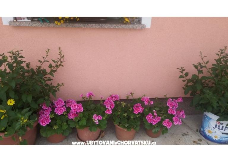 Blazenka Hodak – foto 13