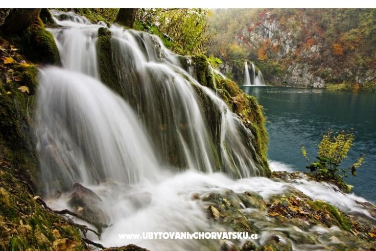 Etno garden – foto 11