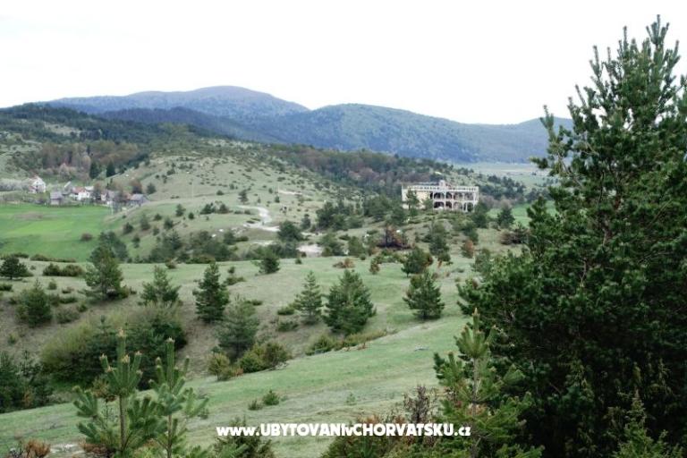 Naturalika  – foto 17