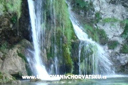 Zimmers Veronika – foto 10