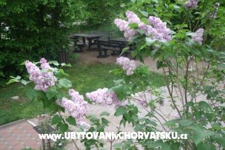 Zimmers Veronika – foto 13