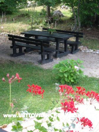 Zimmers Veronika – foto 6