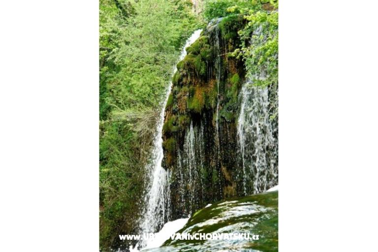 Zimmers Roza – foto 10