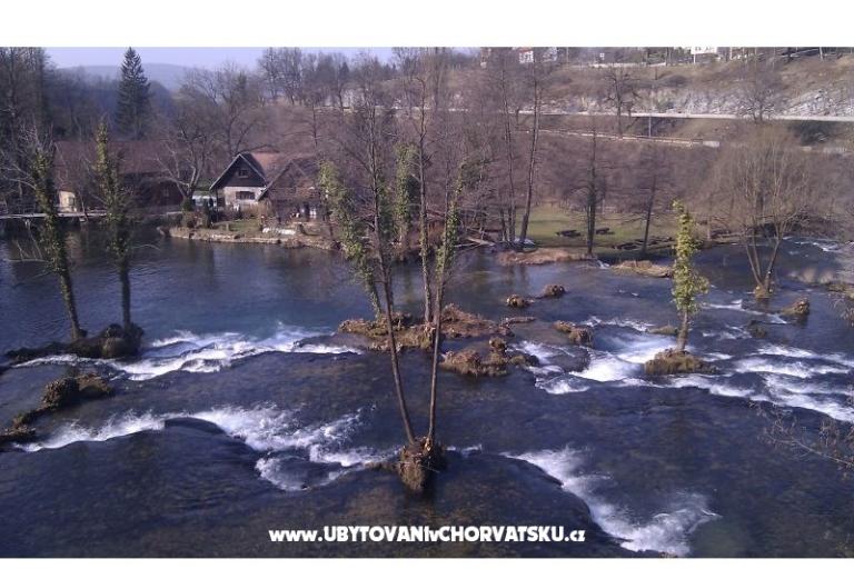 Zimmers Roza – foto 14