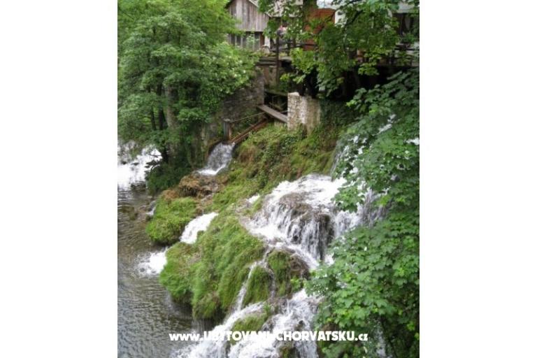 Zimmers Roza – foto 16