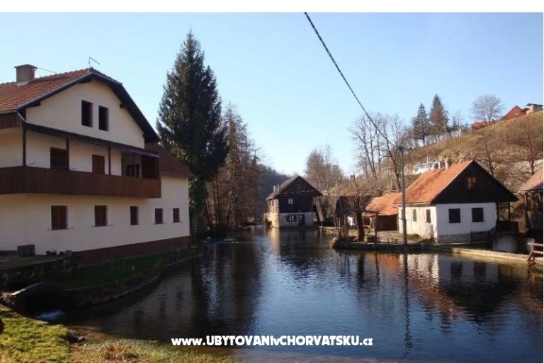 Zimmers Roza – foto 3