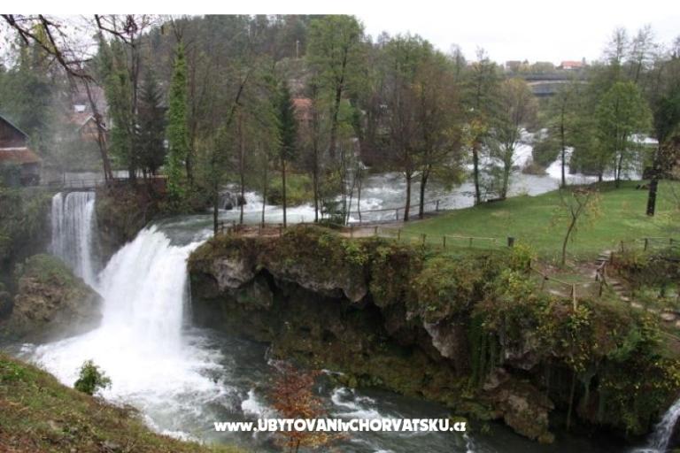 Zimmers Roza – foto 6