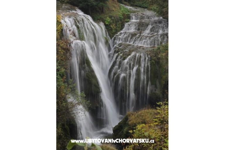 Zimmers Roza – foto 7