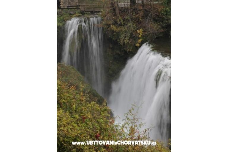 Zimmers Roza – foto 8