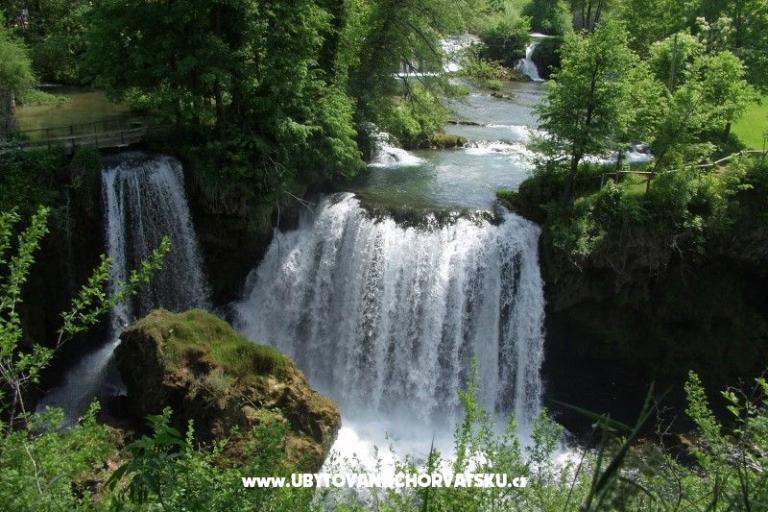 Zimmers Roza – foto 9