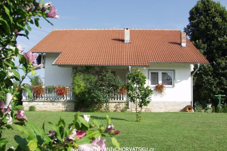 White Haus – foto 6