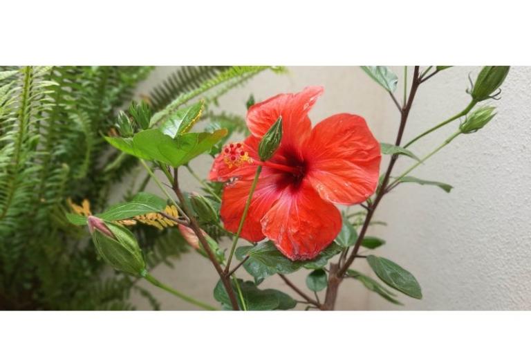 Appartements Mila – foto 12